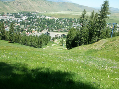 Jackson Hole - July 2010 (40).JPG